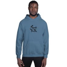 Load image into Gallery viewer, Seek Truth Unisex Hoodie