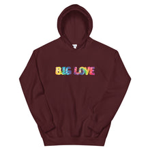 Load image into Gallery viewer, Big LOVE Unisex Hoodie